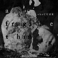 A Fragile Thing (Main)