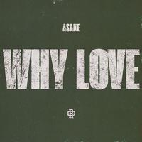 WHY LOVE (Instrumental)