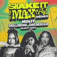Shake It To The Max (Remix) (Instrumental)