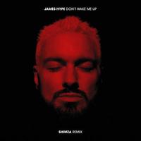 Don't Wake Me Up (Shimza Remix) (Radio Edit)