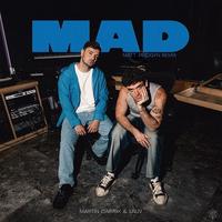 MAD (Matt Pridgyn Remix) (Radio Edit)