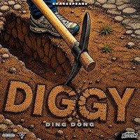 DIGGY (Original Mix)